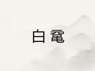 白鼋 白鼋