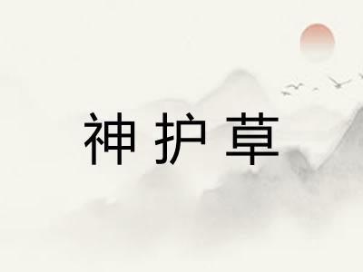 神护草