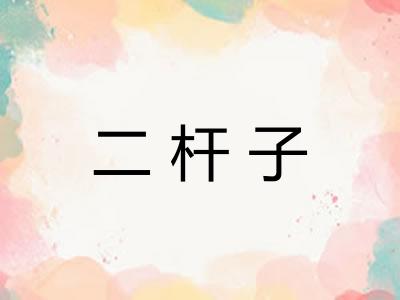 二杆子