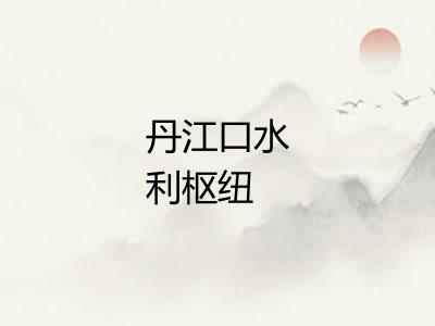 丹江口水利枢纽 丹江口水利枢纽