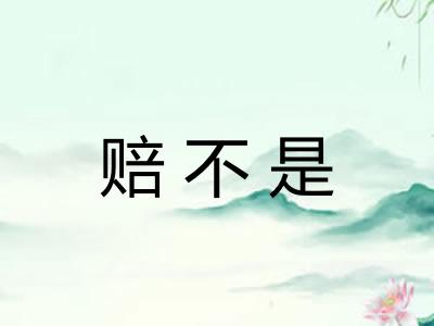 赔不是
