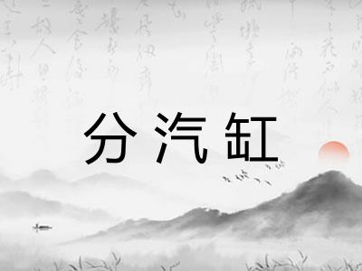 分汽缸 分汽缸