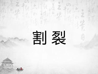 割裂 割裂