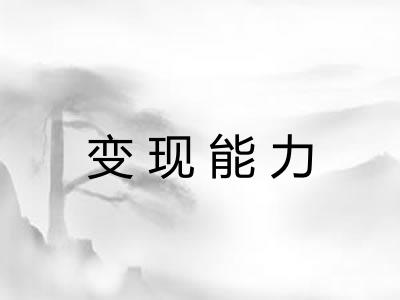 变现能力 变现能力