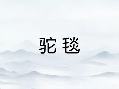 驼毯