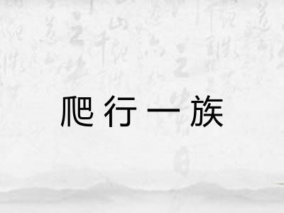 爬行一族 爬行一族