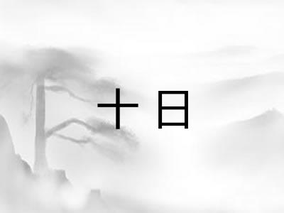 十日