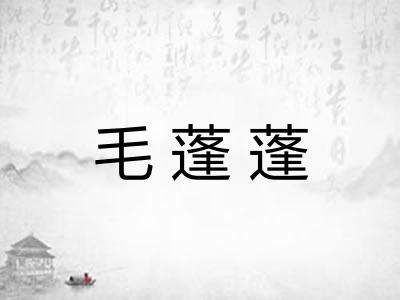 毛蓬蓬 毛蓬蓬