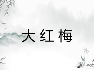 大红梅 大红梅