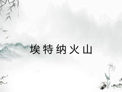 埃特纳火山 埃特纳火山