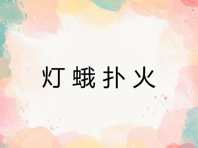 灯蛾扑火 灯蛾扑火