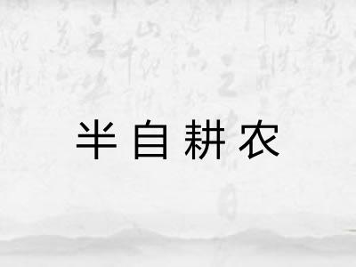 半自耕农 半自耕农