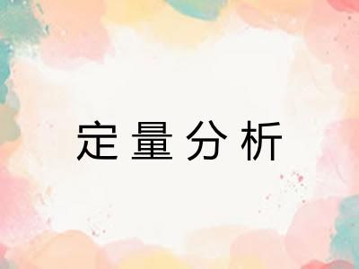 定量分析 定量分析