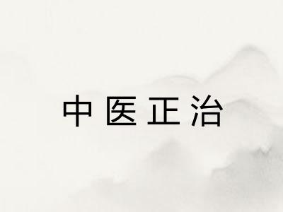 中医正治 中医正治