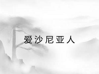 爱沙尼亚人 爱沙尼亚人