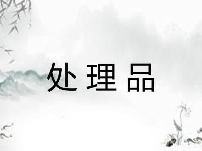 处理品 处理品