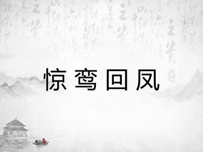 惊鸾回凤 惊鸾回凤