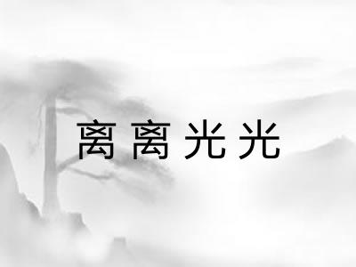 离离光光 离离光光