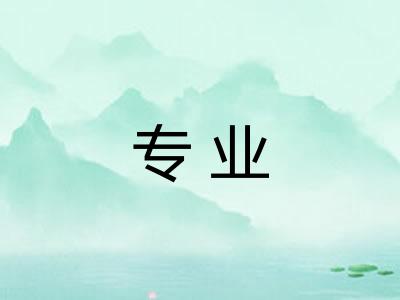 专业