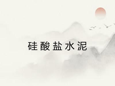 硅酸盐水泥 硅酸盐水泥