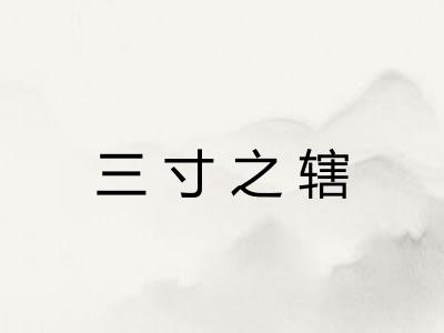 三寸之辖