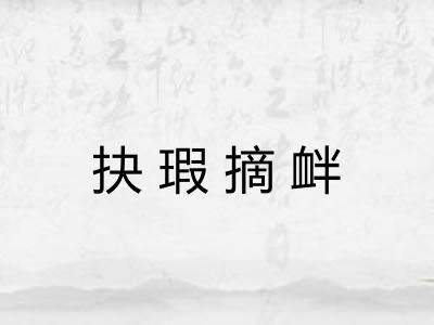 抉瑕摘衅 抉瑕摘衅