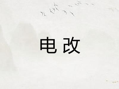 电改