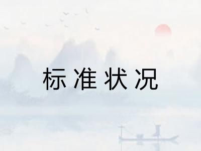 标准状况 标准状况