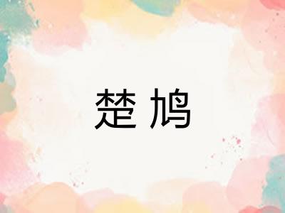 楚鸠 楚鸠