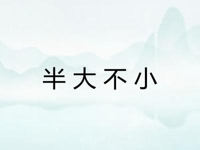 半大不小