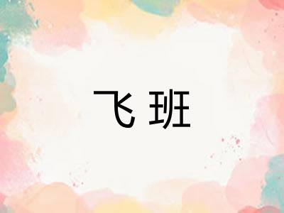 飞班 飞班