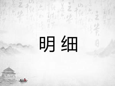 明细 明细