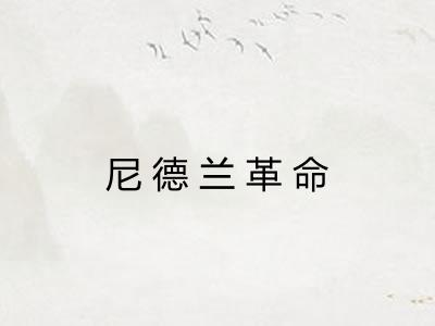 尼德兰革命 尼德兰革命