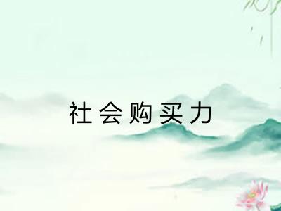 社会购买力
