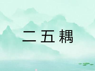 二五耦