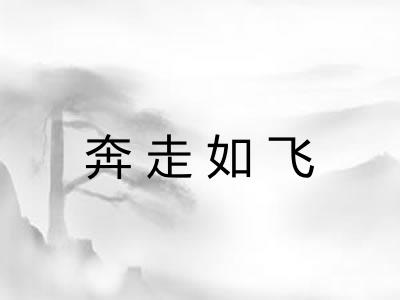 奔走如飞 奔走如飞