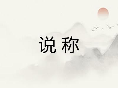 说称 说称