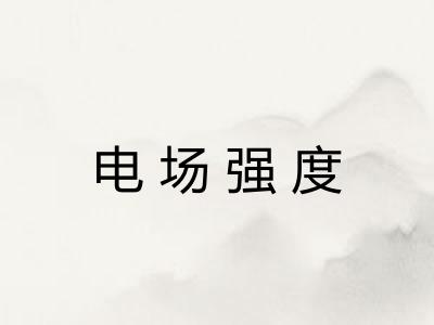 电场强度 电场强度