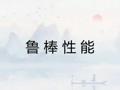 鲁棒性能