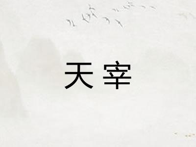天宰 天宰