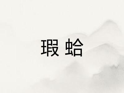 瑕蛤