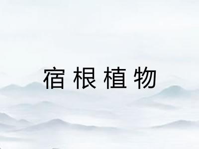 宿根植物