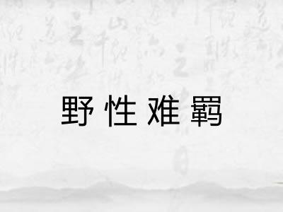 野性难羁 野性难羁
