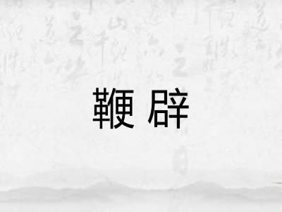 鞭辟 鞭辟