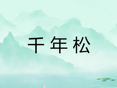 千年松