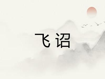 飞诏 飞诏