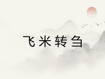 飞米转刍 飞米转刍