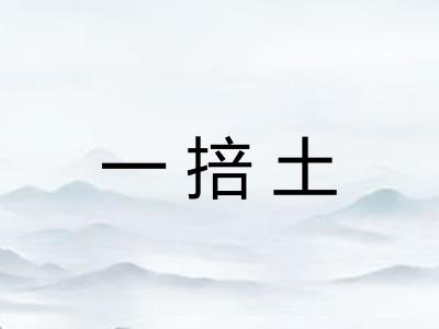 一掊土