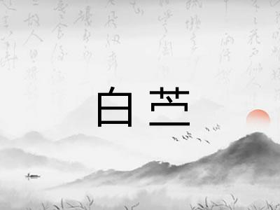 白苎