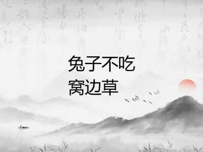 兔子不吃窝边草 兔子不吃窝边草